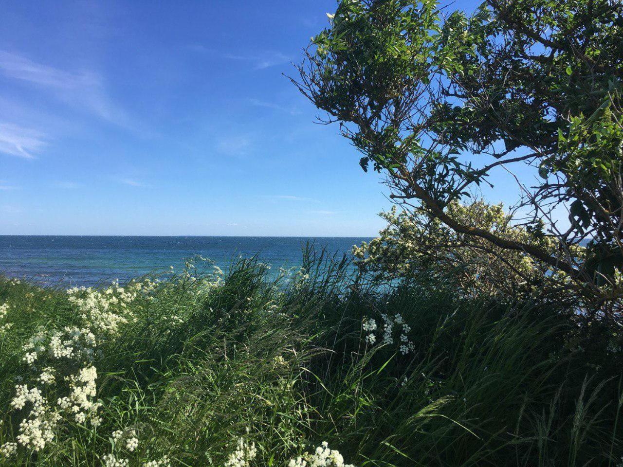 Traumhaftes Strand-Apartment Mit Meerblick Staberdorf Exteriör bild